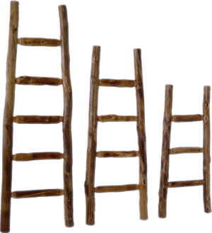Kiva Ladders