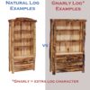 Natural vs Gnarly - Bookcase