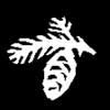 Pinecone Profile