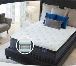 Serta Platinum Suite III Euro Top Mattress