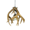 Whitetail 3 Antler Wrap Pendant Light