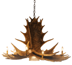 Moose 6 Antler Chandelier