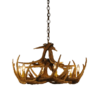 Whitetail 12 Antler Chandelier