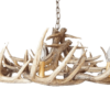 Whitetail 15 Antler Wide Chandelier