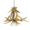 Whitetail 3 Antler Pendant Light