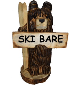 18 bear holding skis and sign